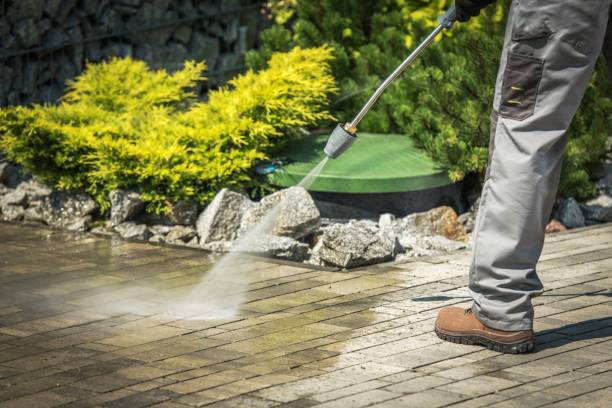 Best Driveway Pressure Washing  in Teague, TX