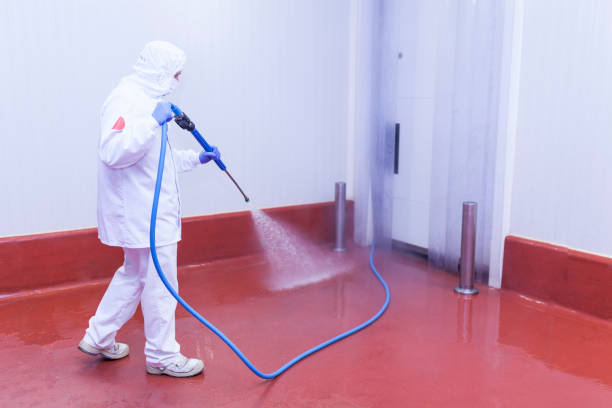 Best Pre-Holiday Cleaning  in Teague, TX